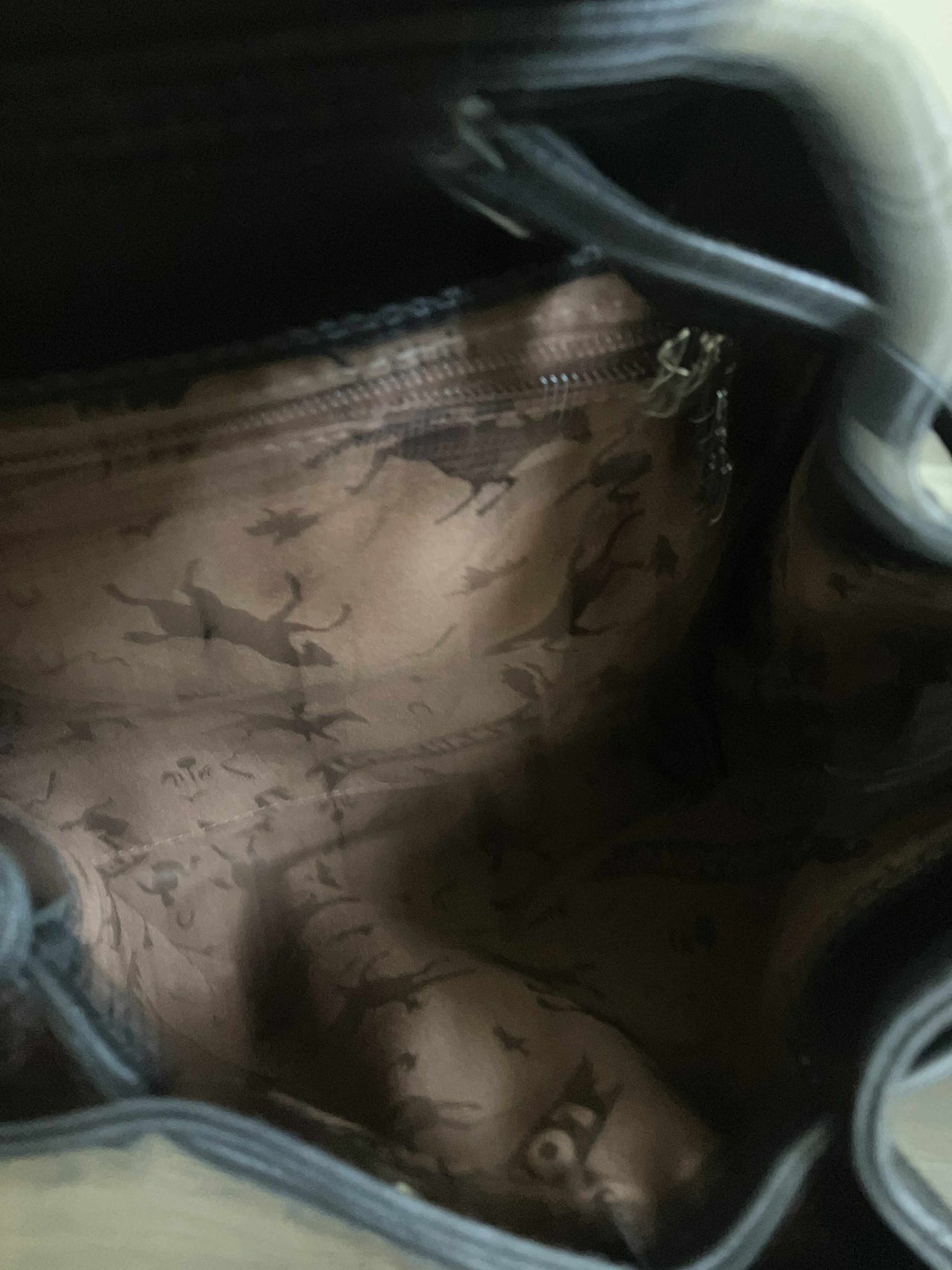 Long Champ Backpack