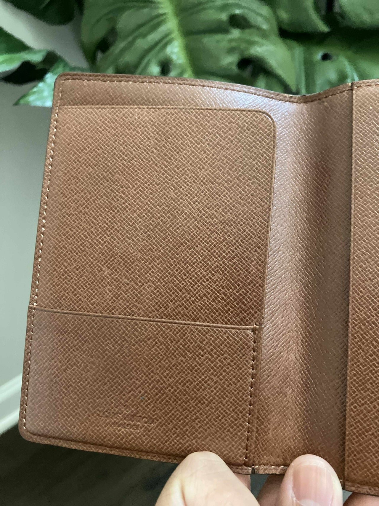 LV Mono Passport