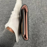 LV Victorine Walltet