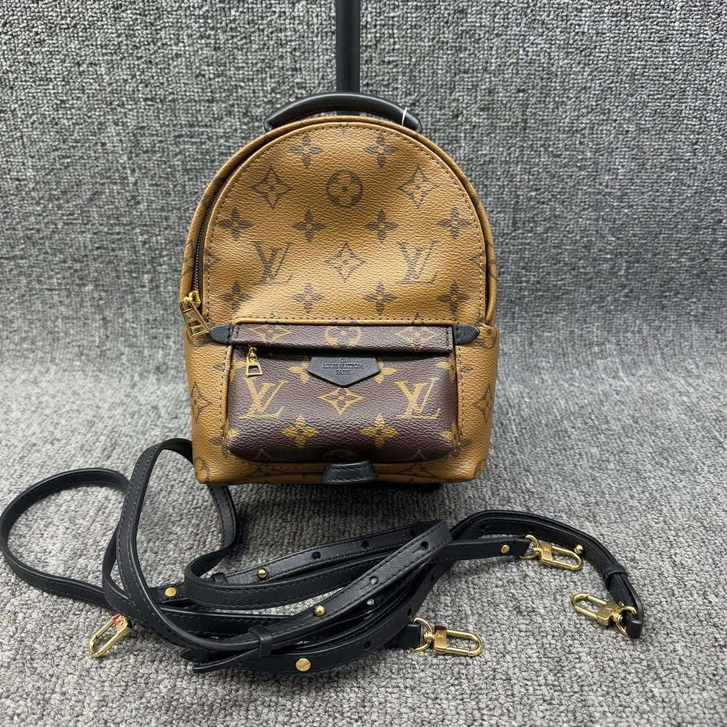 Louis Vuitton Palm Springs Mini Reverse canvas