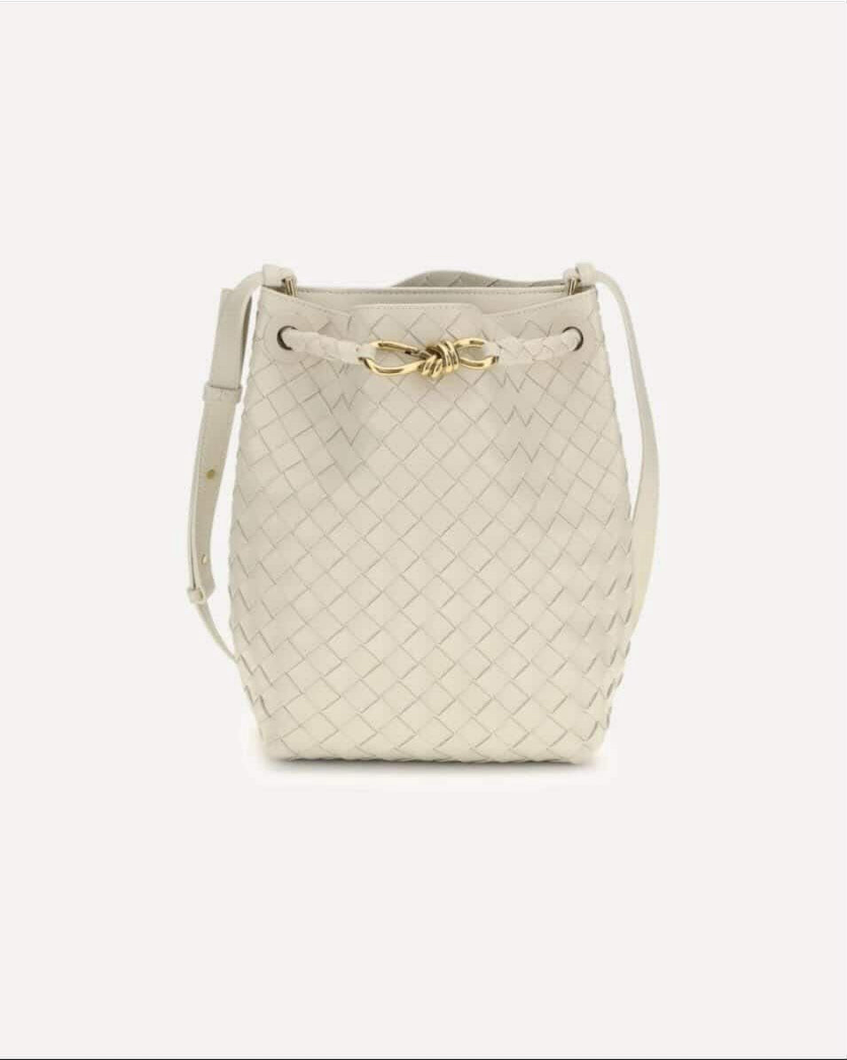 Bottega Veneta Bucket Andiamo Small