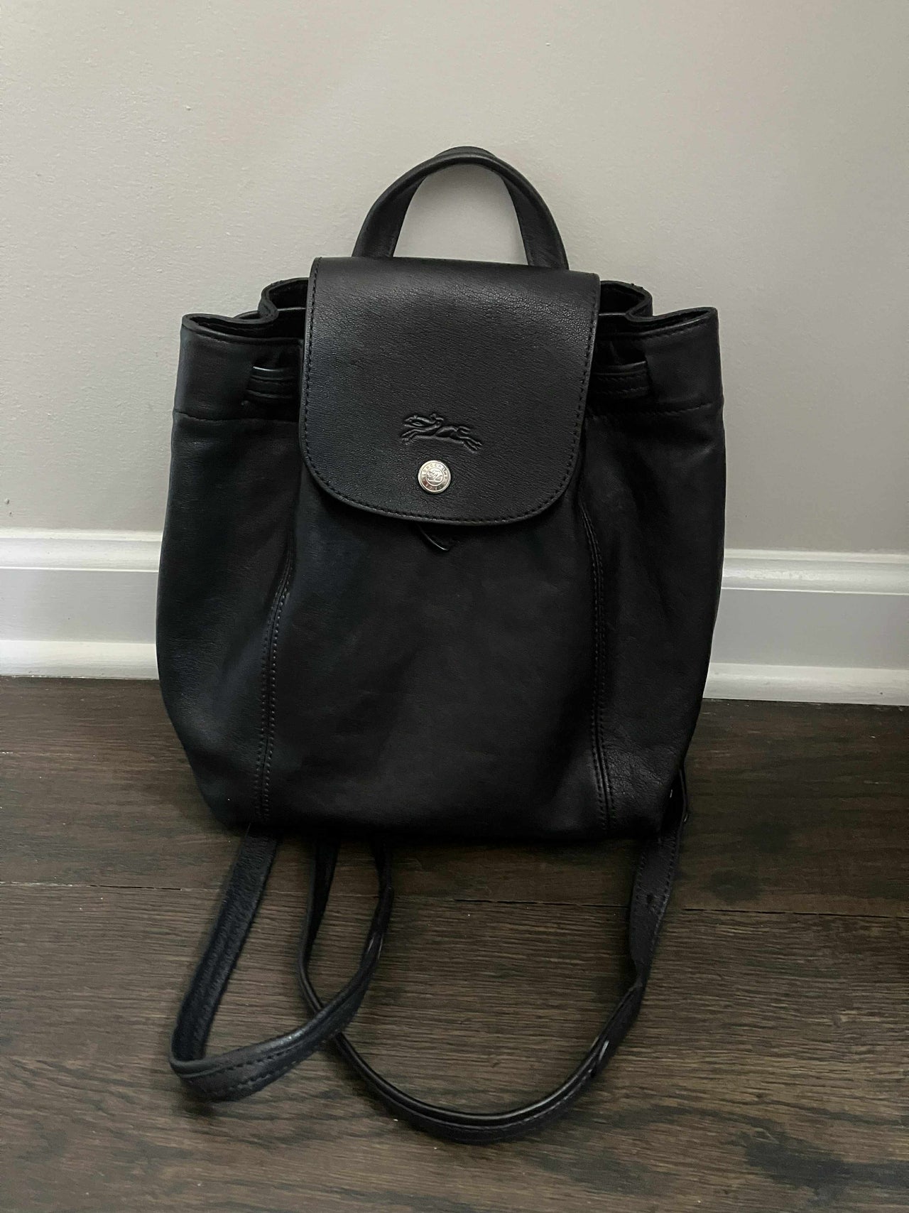 Long Champ Backpack