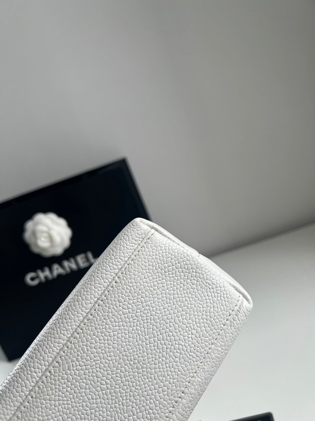 CHANEL Black & White Panda Kelly 5 Bag